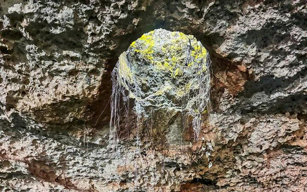 Yaxmuul Sacred Cenotes Guided Tour and Mayan Purification Ceremony Tickets