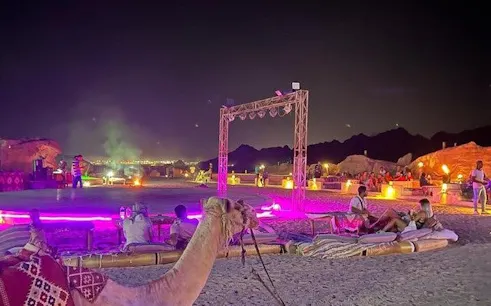 ultimate desert safari: quad, camel ride & dinner show-1