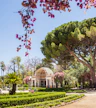 Orto Botanico