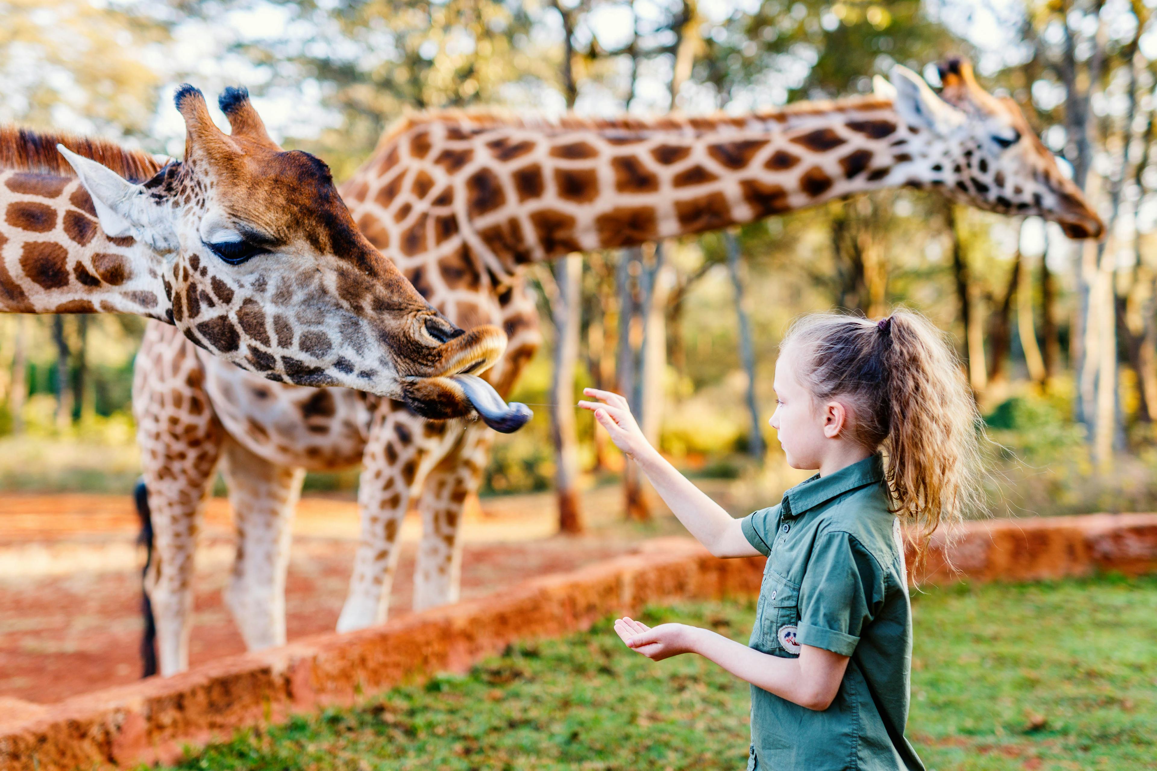 5th largest zoo in the US