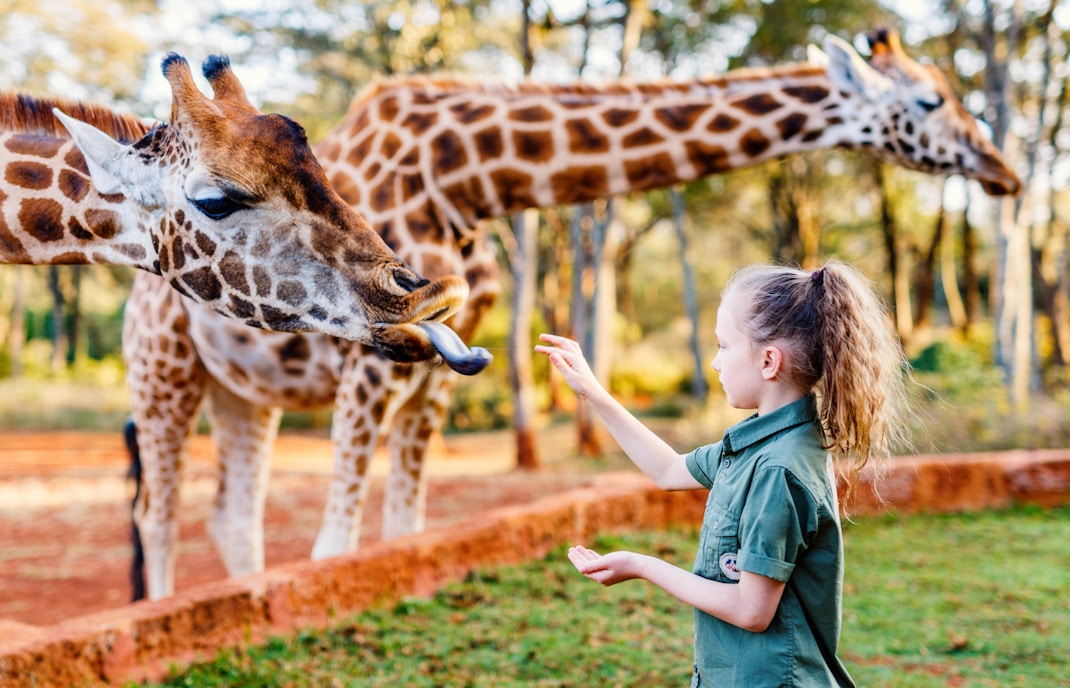 Sendaviva Natural Park tickets