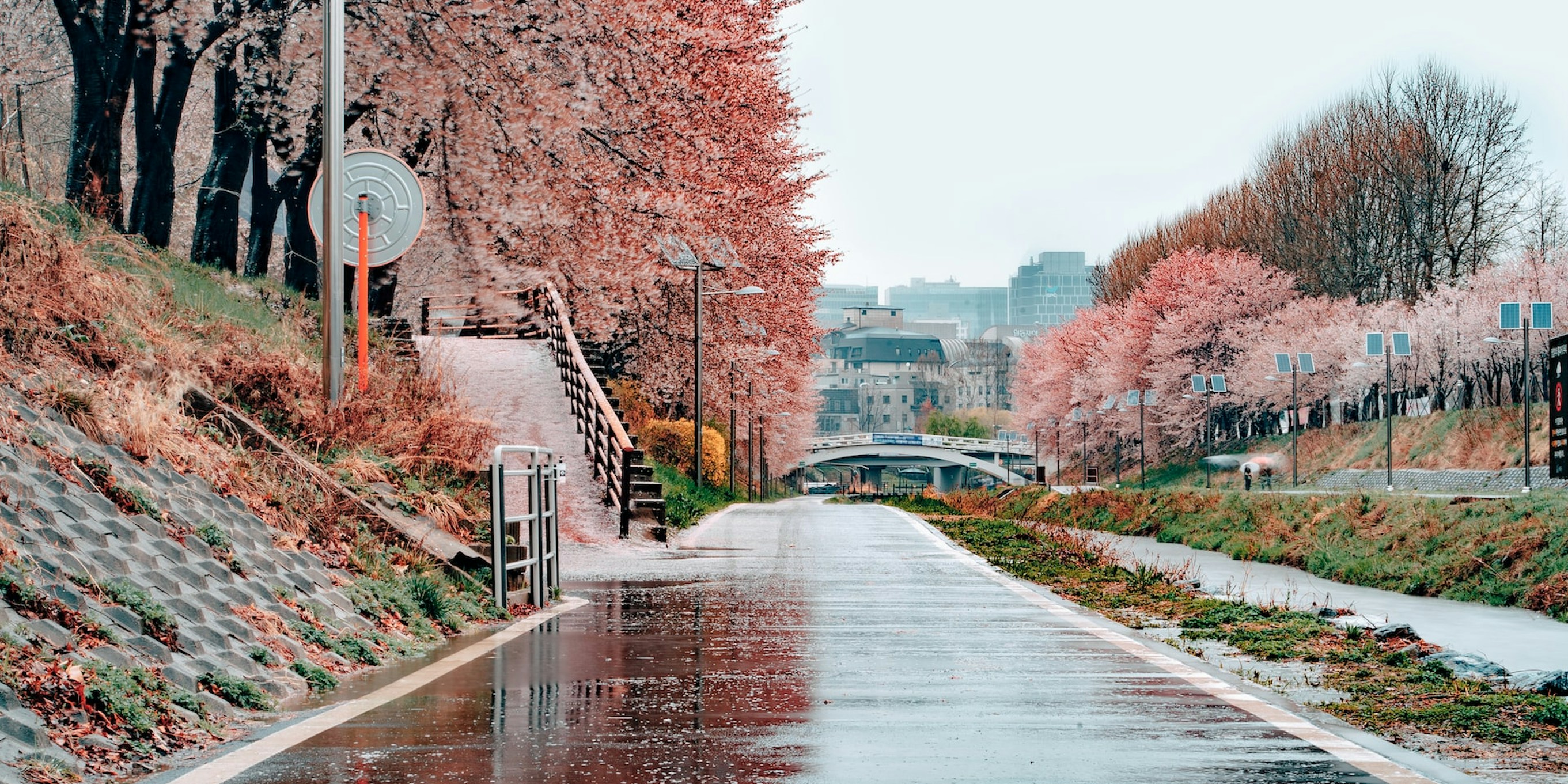 Seoul Attraction Tickets