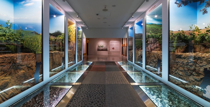 Book Tickets to the Ultimate Porto Wine Experience