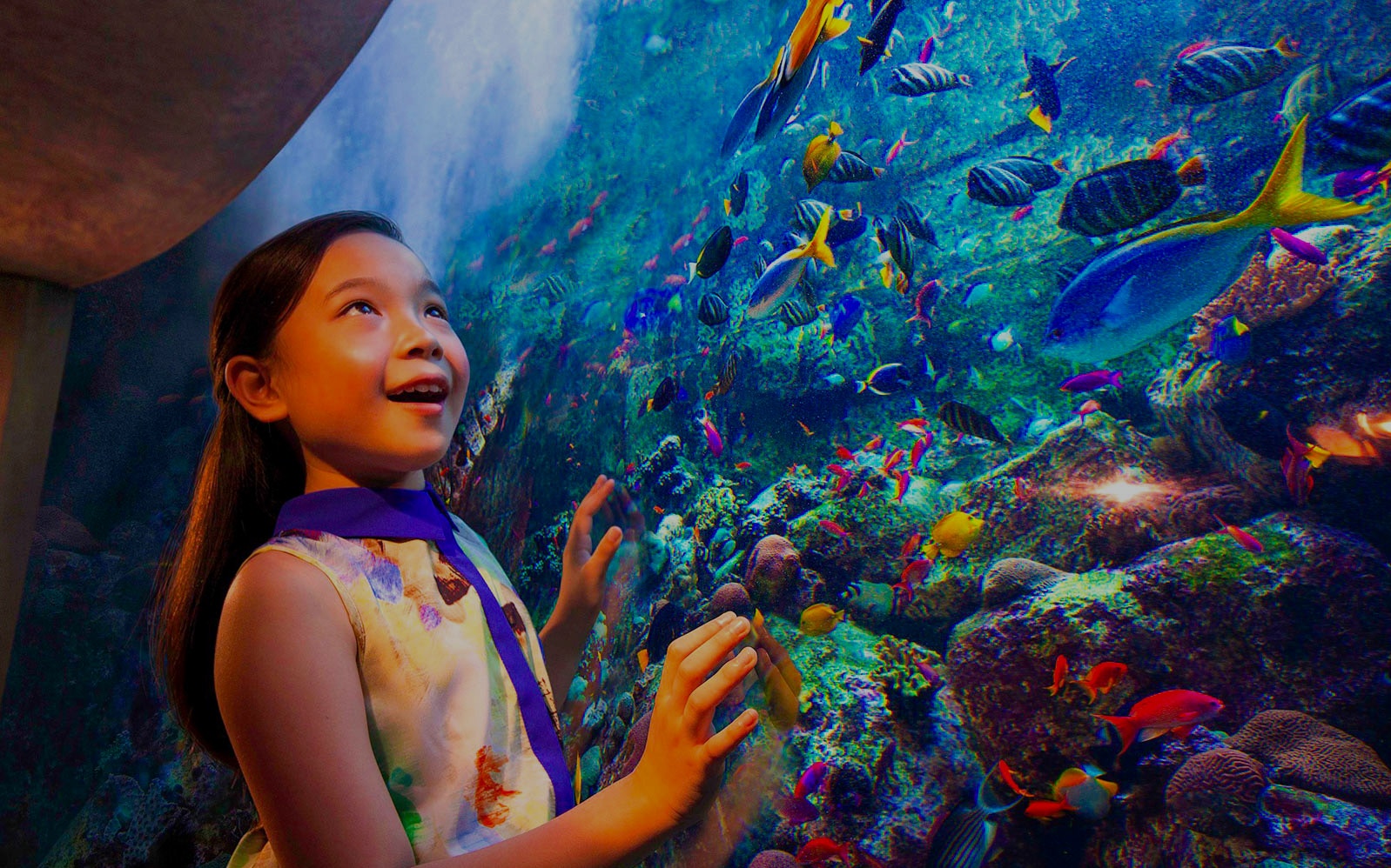 The Lost Chambers Aquarium and Aquaventure Park - Dubai City Card