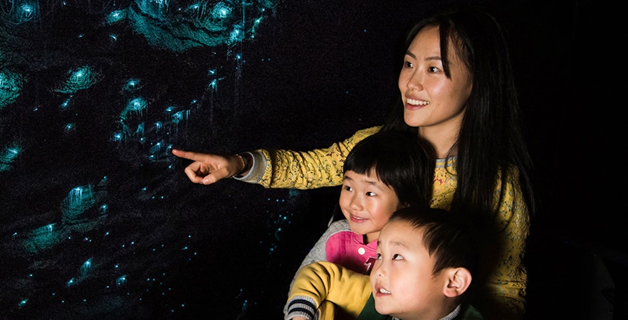 Best Tours in Waitomo