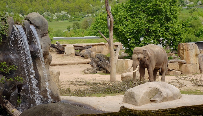 Zoológico de Praga - Encontros com animais - entrada zoológico