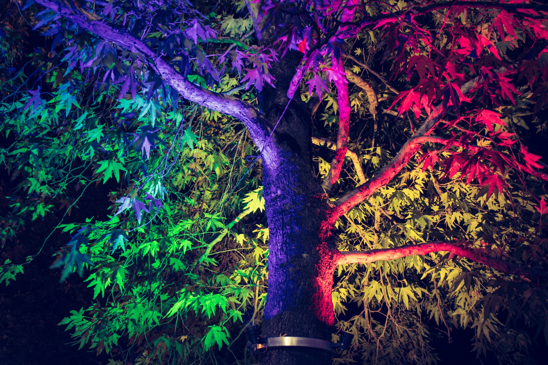 Lost World of Tambun