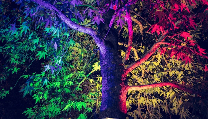 Lost World of Tambun