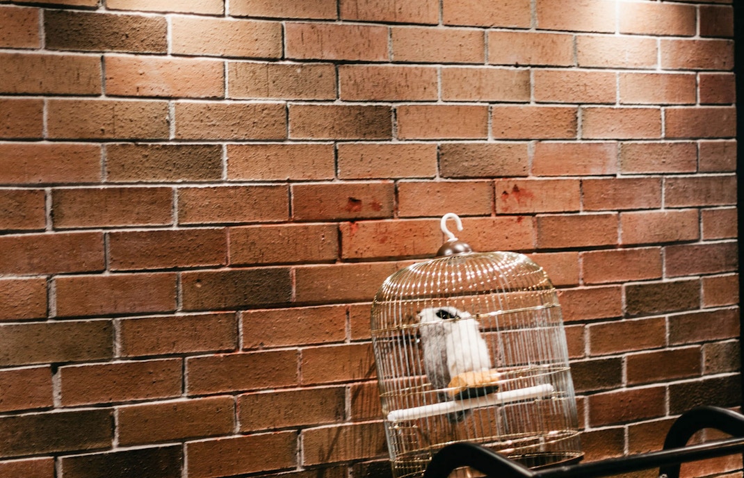 wycieczka do studia harrego pottera