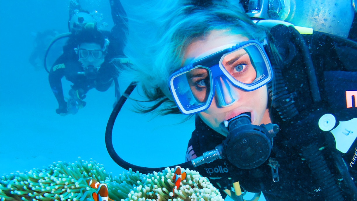 Great Barrier Reef snorkeling and diving tour at Green Island, Cairns, Australia.