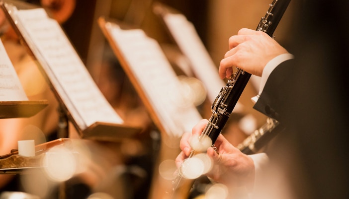 concerts a vienne