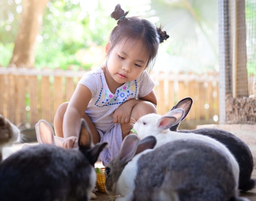 Children exploring Zoo Negara's animal exhibits in Malaysia.