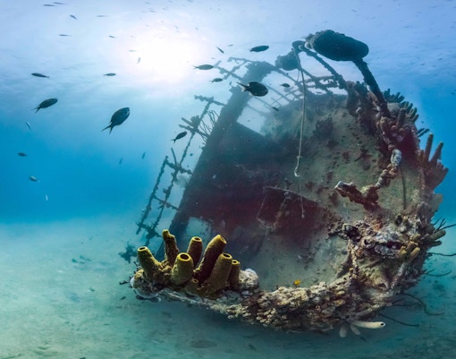 Shipwreck