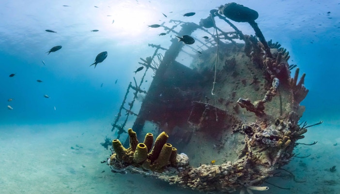 Open Oceans & Shipwreck- Sea Life London