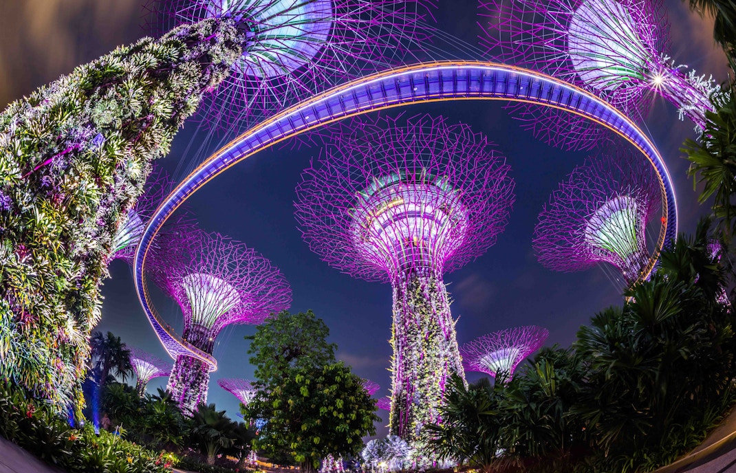 Gardens by the Bay light show