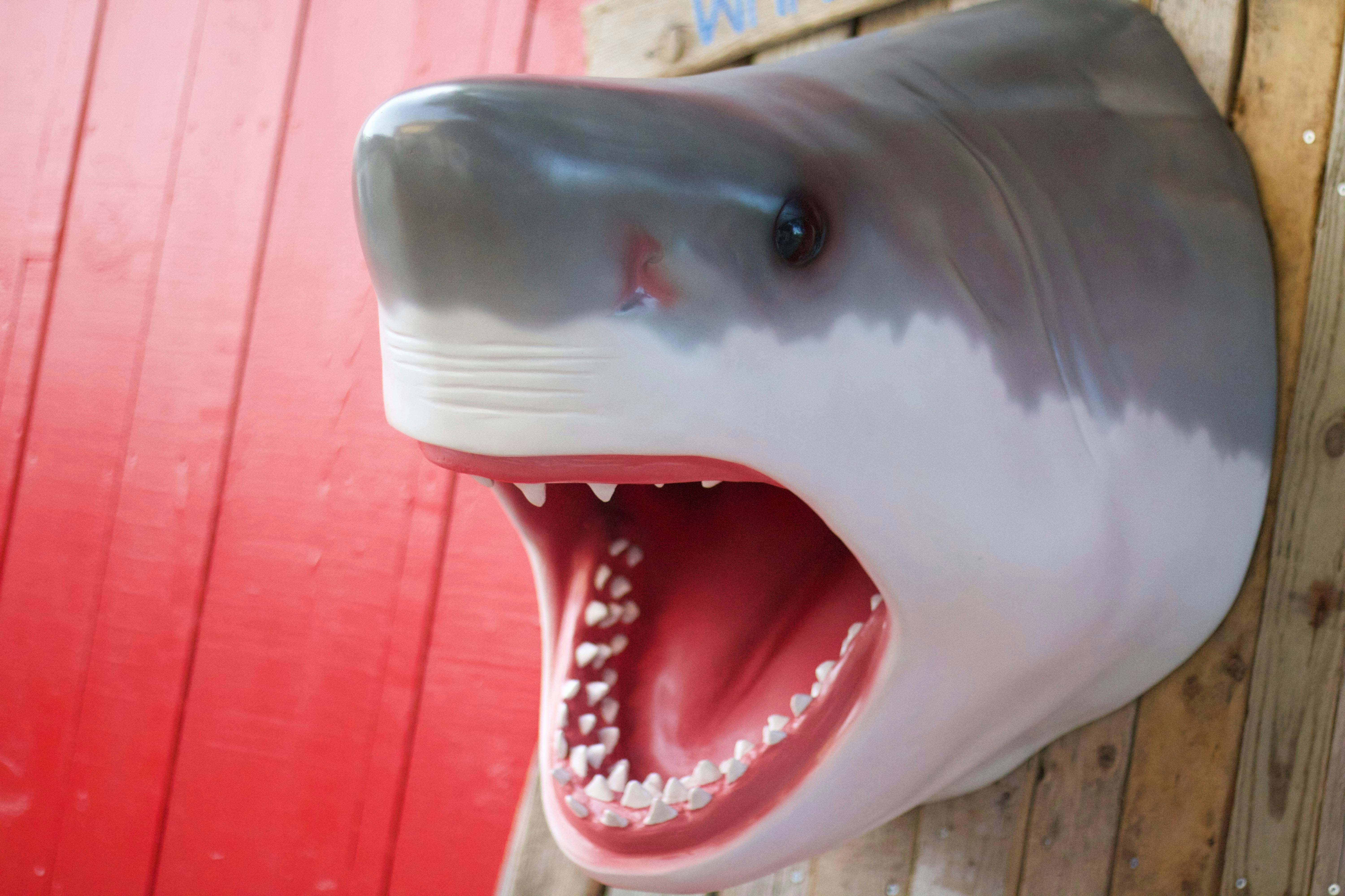Shark model at Amity Village, Universal Studios Japan.