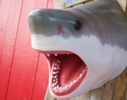 Universal Studios Japan Rides