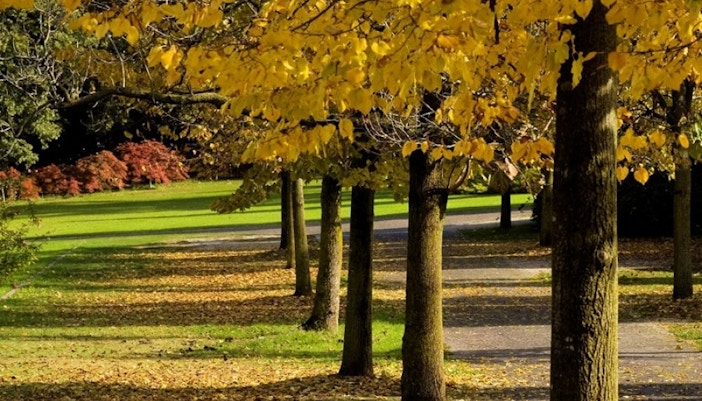 parco sigurtà timings