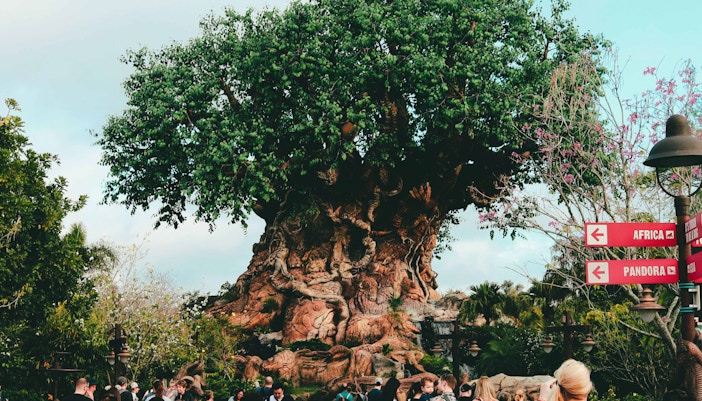 parc Disneyland Paris