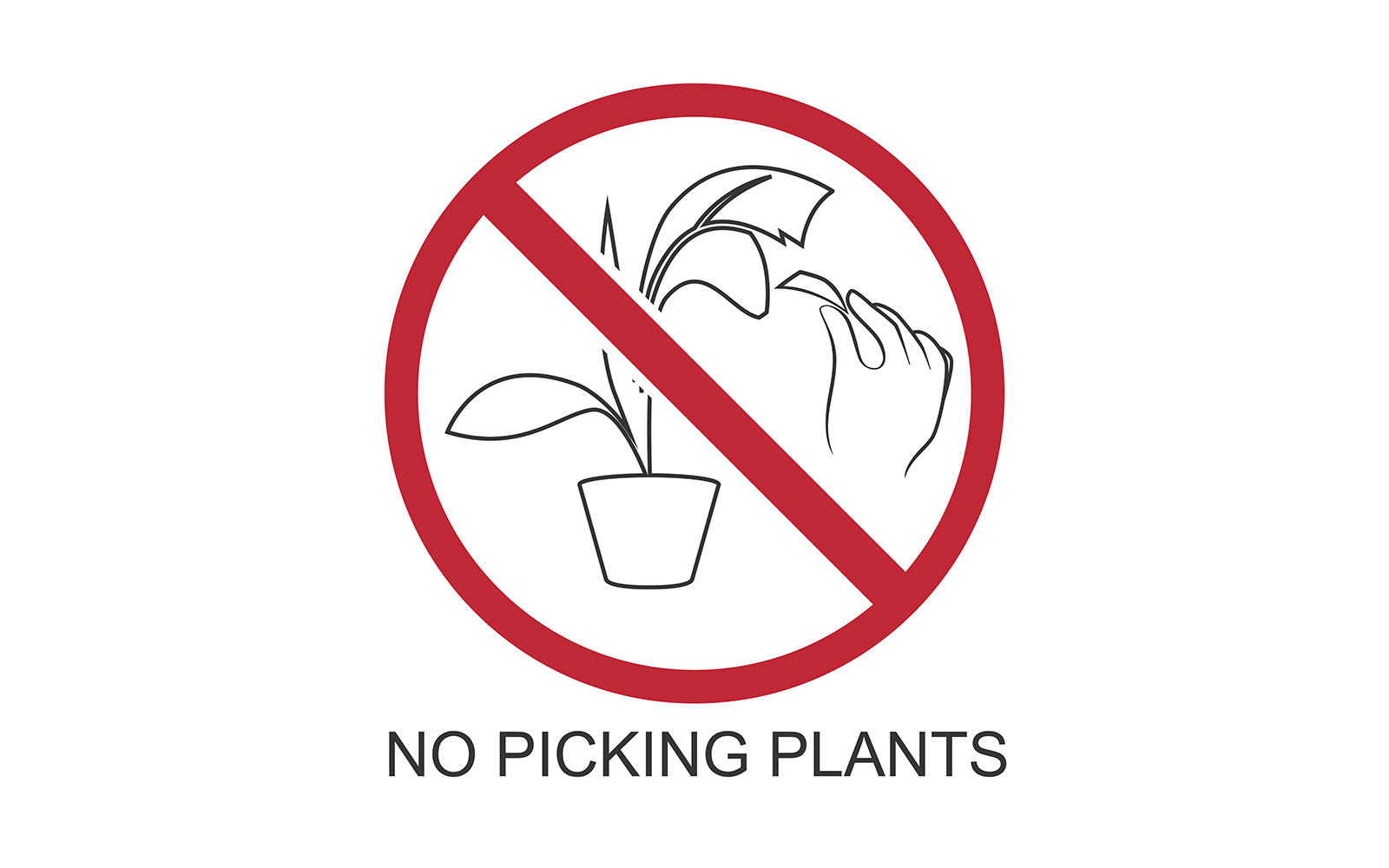 Monserrate Palace and Park - Rules