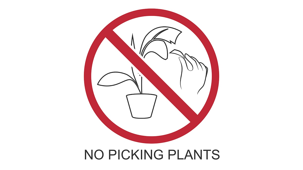 Monserrate Palace and Park - Rules