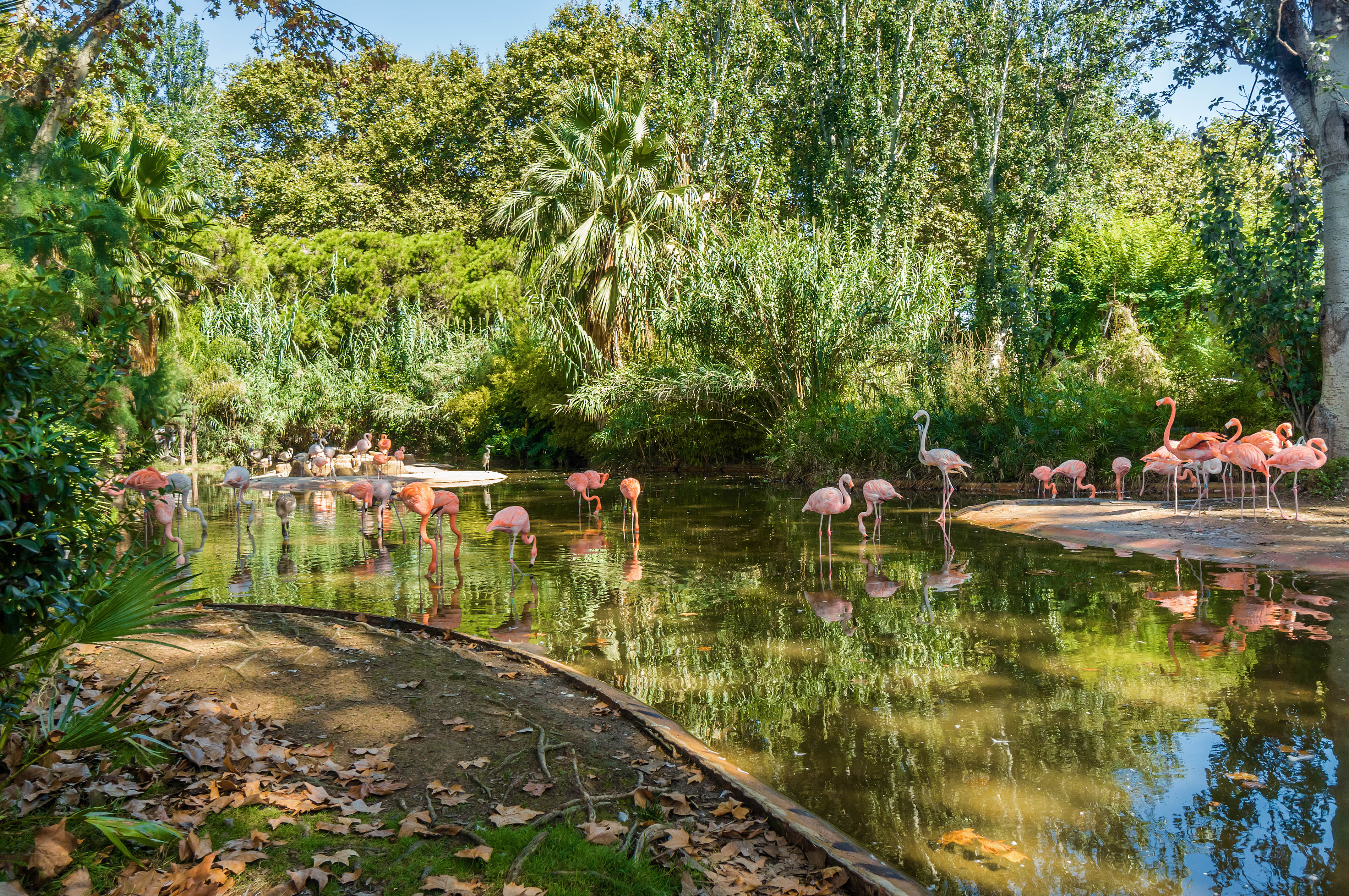 Barcelona Zoo opening times: When to visit?