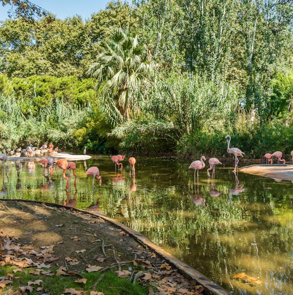 Barcelona Zoo opening times: When to visit?