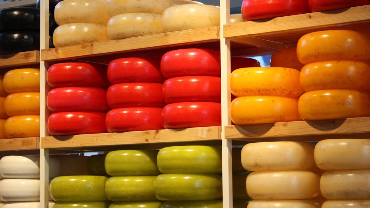 Cheese wheels on shelves at Volendam Cheese Factory.