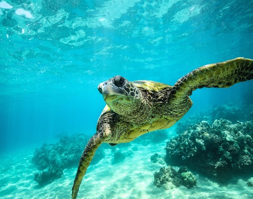 Best Time to Visit SIngapore - Recommened Attractions