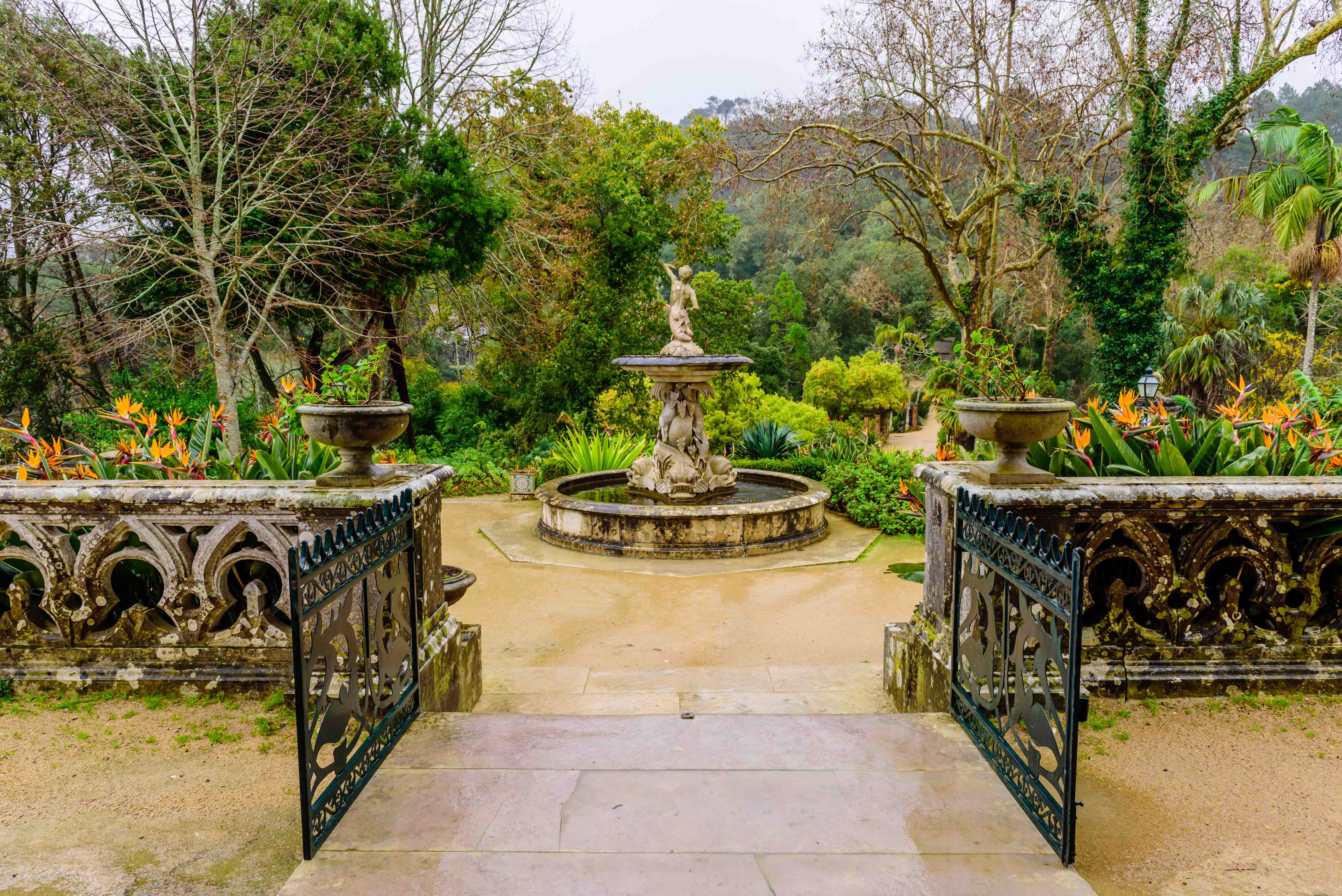 Monserrate Palace and Park - Park of Monserrate