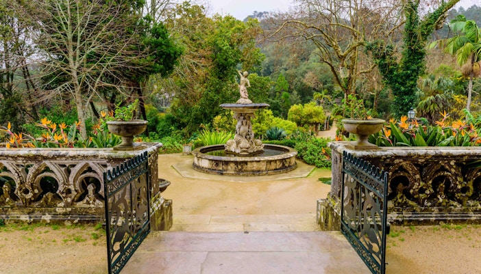Monserrate Palace and Park - Park of Monserrate