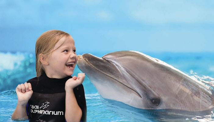 Dubai With Kids - Dubai Dolphinarium