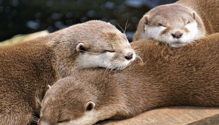 Experience Close Encounters