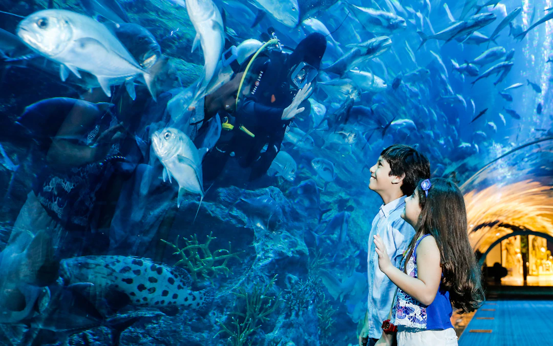 1-Day Dubai Itinerary