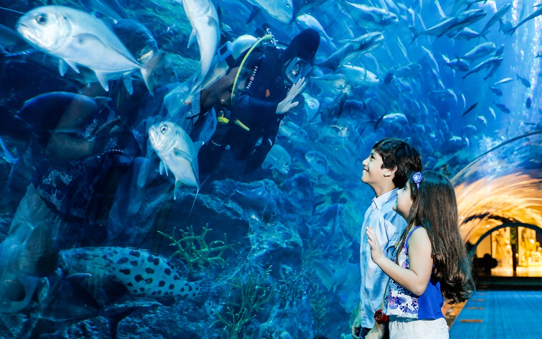 1-Day Dubai Itinerary