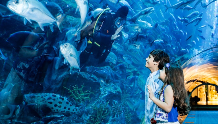 Dubai Itineraries - Dubai Aquarium