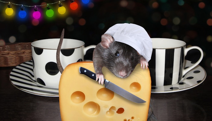 parc Disneyland Paris