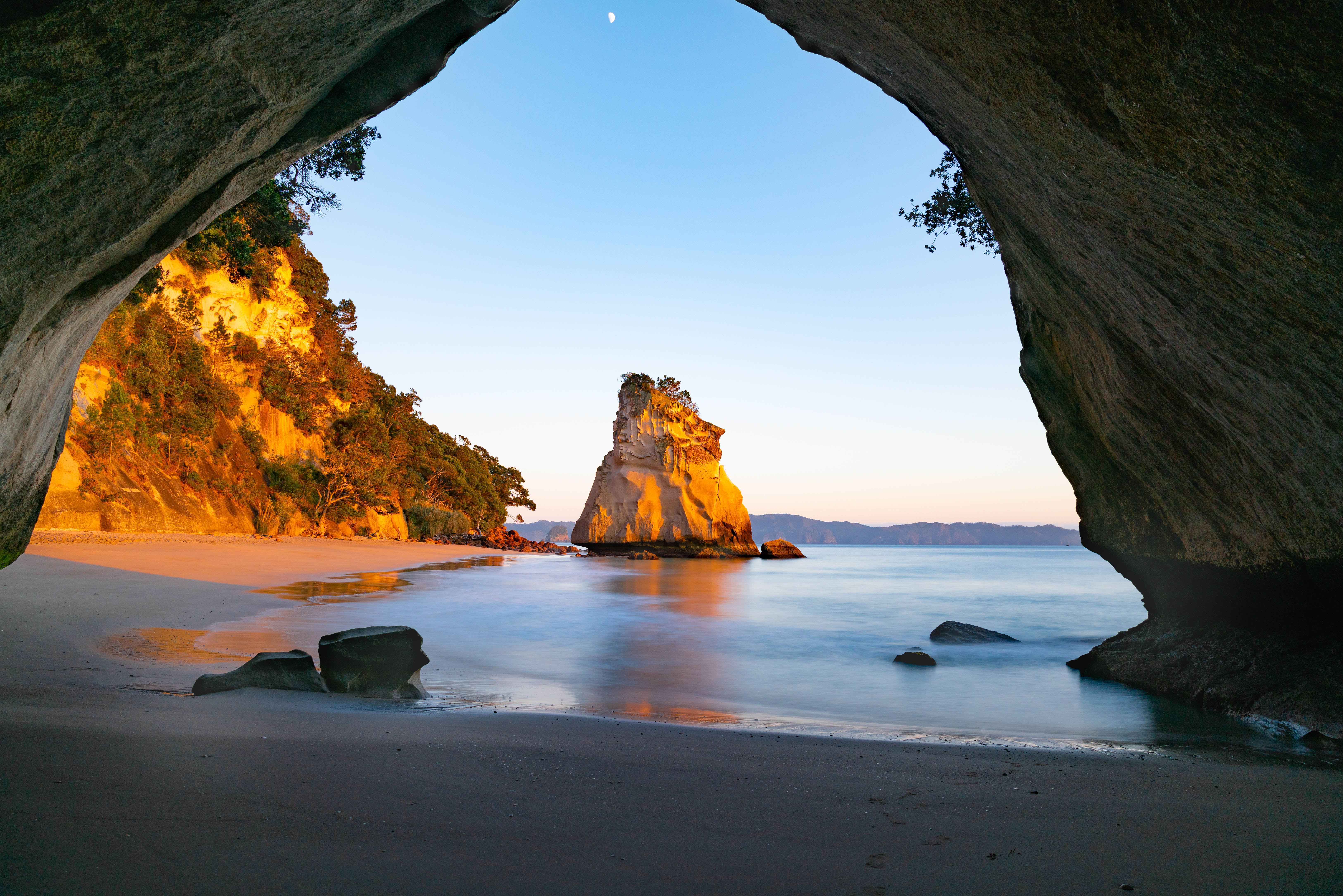 Day Trips from Auckland