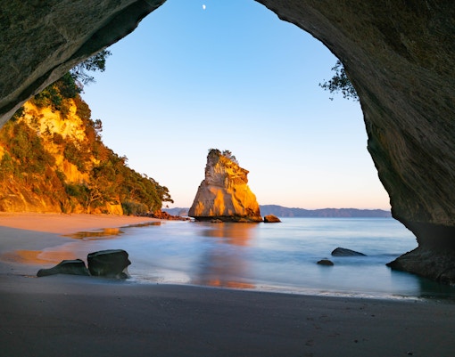 Day Trips from Auckland