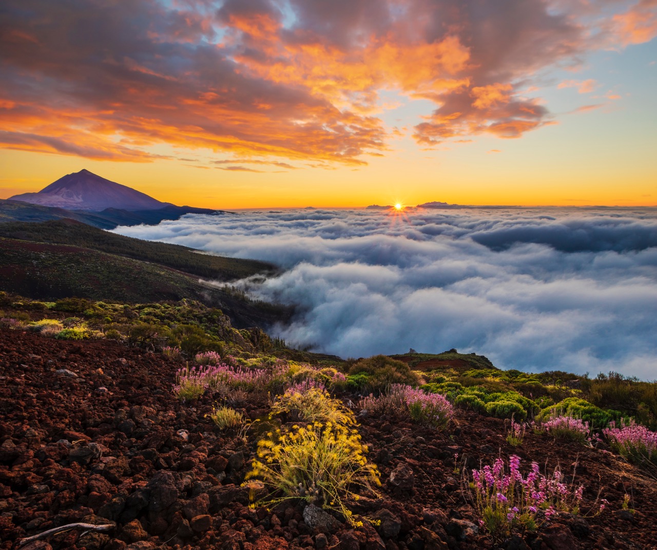 Teide Volacno Tours - Teide National Park