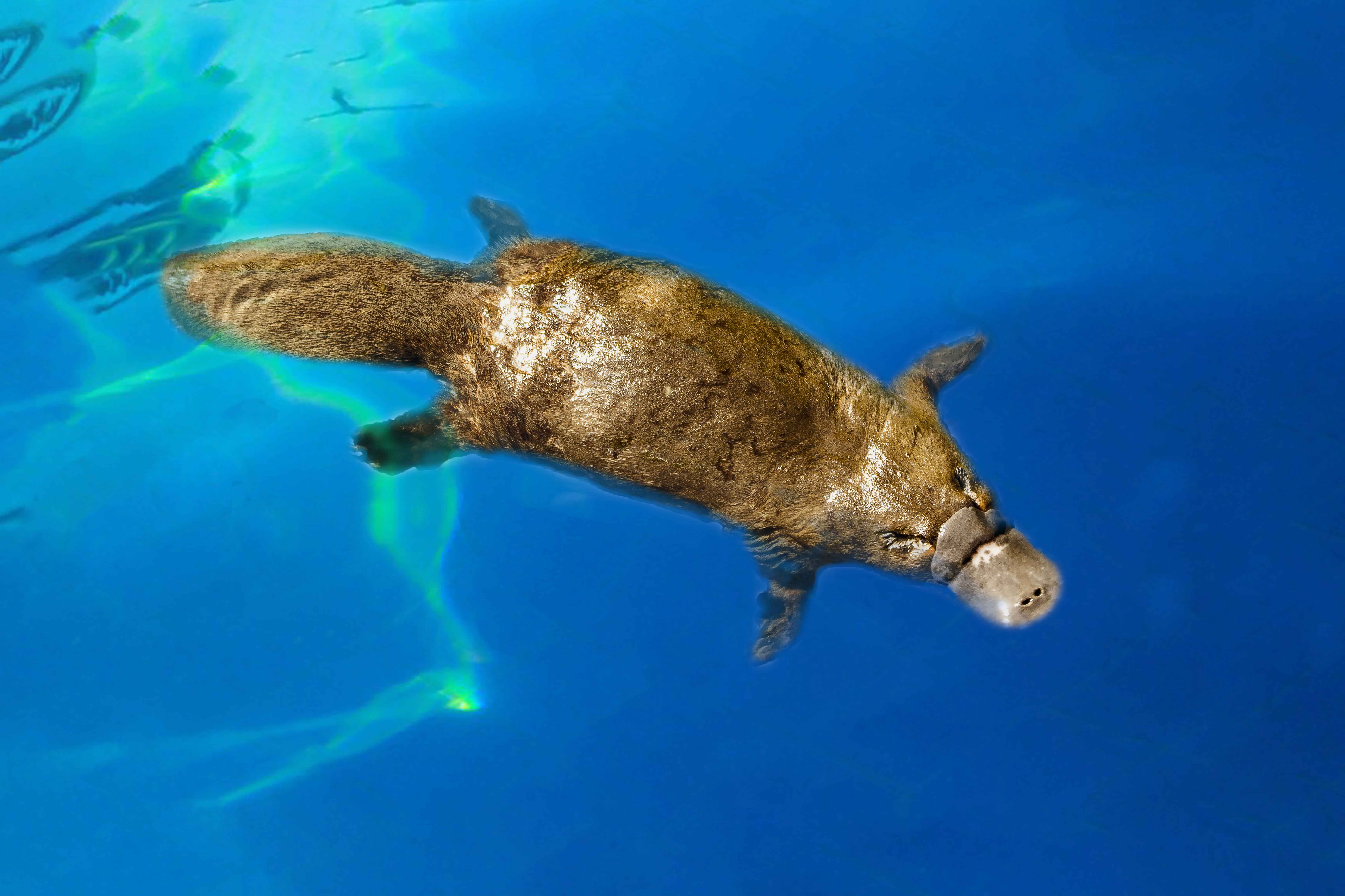 Things to do in Gold Coast