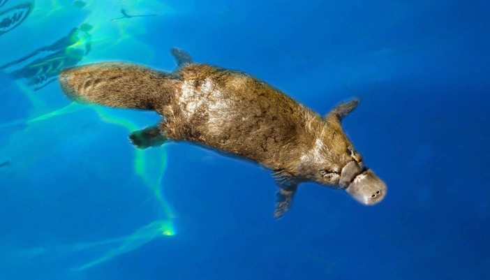 Things to do in Gold Coast