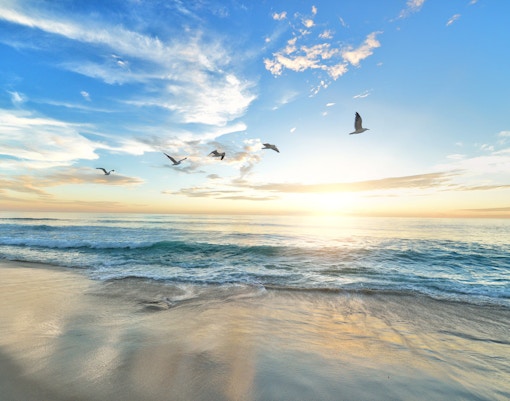 Best things to do in Dubai- beaches