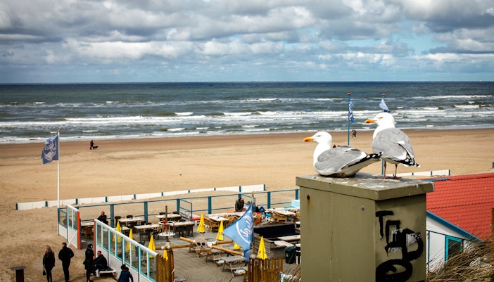 New Year in Amsterdam - Zandvoort Aan Zee