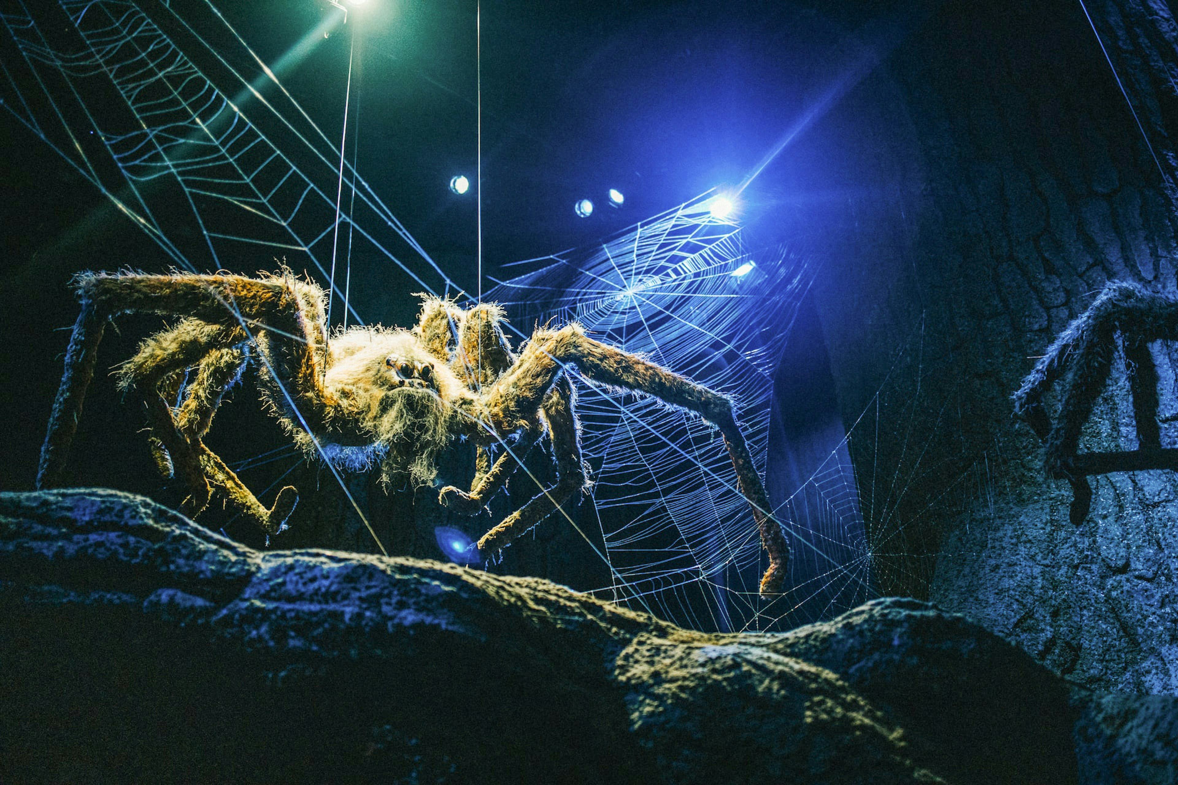 Giant spider model in Harry Potter studio tour with web and blue lighting.