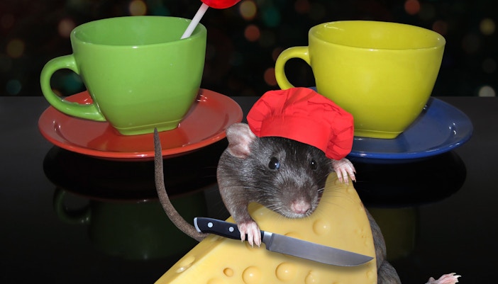 parc Disneyland Paris