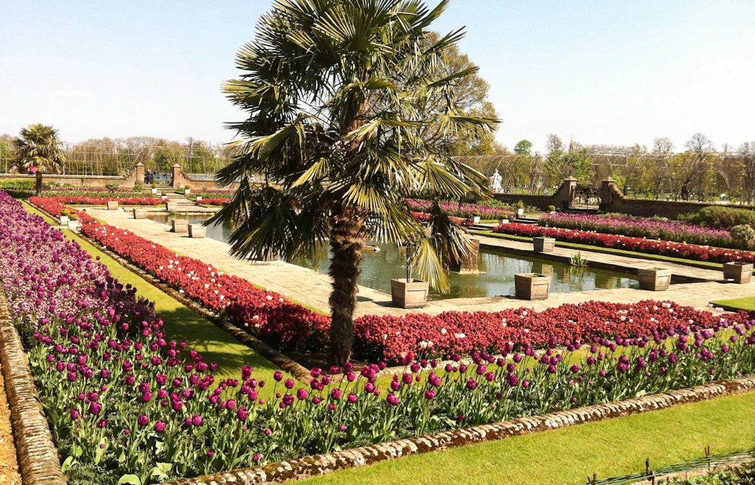 Kensington Gardens pond with vibrant flower beds and palm trees.