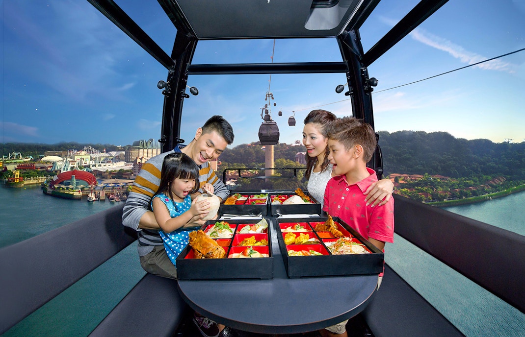 About Singapore Cable Car