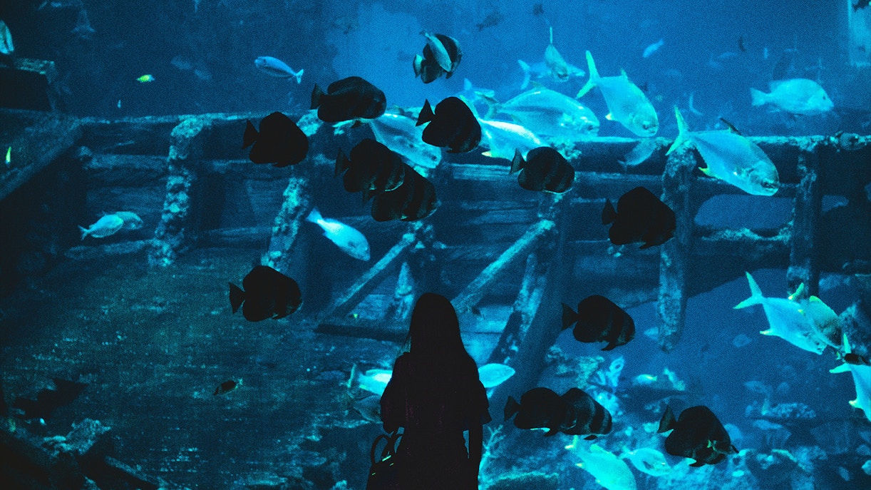 Sentosa 4D AdventureLand tickets