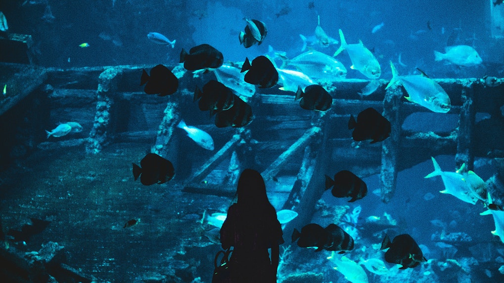 Sentosa 4D Adventureland | Exclusive Deals | Save upto 16%